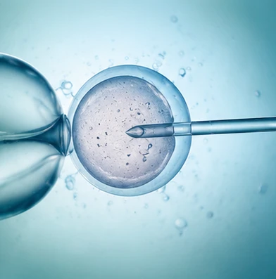 Vantelesna oplodnja (IVF)